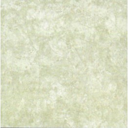 Gạch lát sàn Trường Thịnh NEW SWAN CASTLE G32002